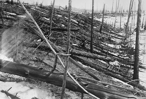 Photograph of flattened forest after the Tunguska event